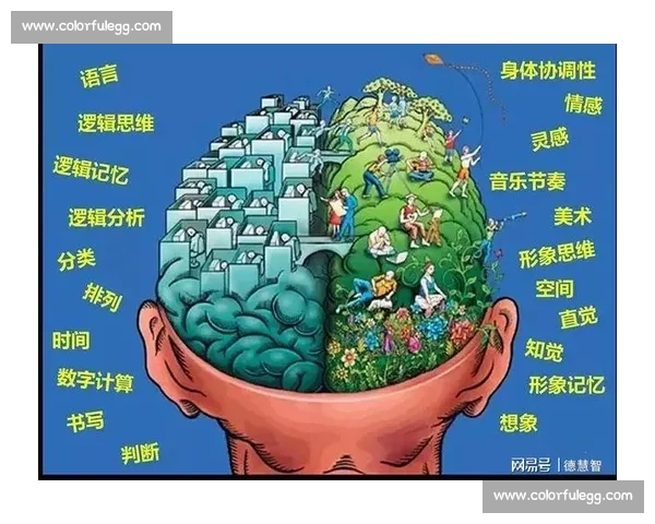 以动作记忆训练为核心提升大脑反应能力与身体协调性的研究