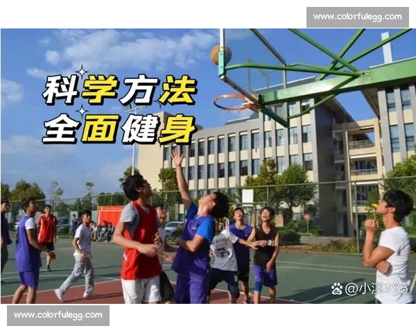 提升训练效果的科学方法与实用策略全方位解析