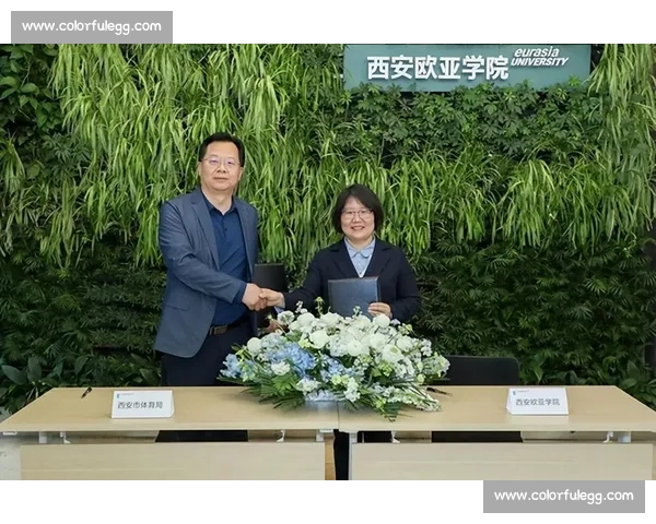 体育赛事组织与管理策略优化及高效运行实践研究