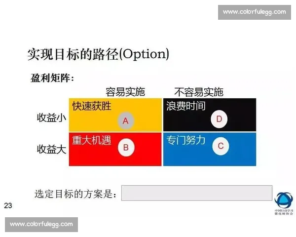 体育团队绩效提升与协同效率优化研究探索